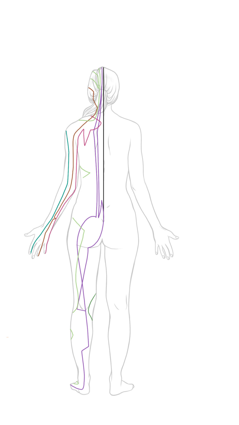 Meridiane Das Geheimnis der Energiekanäle Unit Yoga Blog